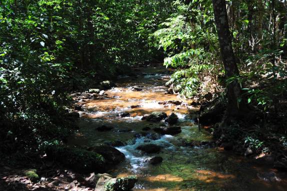 Riacho na trilha para a Cachoeira do Roncador, em Taquaruçu - TO